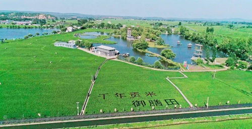 美麗鄉(xiāng)村 清涼避暑勝地與環(huán)境檢測(cè)服務(wù)的雙重魅力