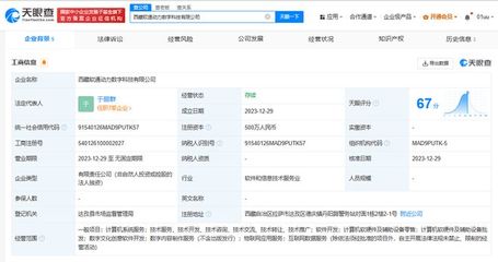 軟通動力在西藏成立數(shù)字科技公司，布局數(shù)字創(chuàng)意軟件新賽道